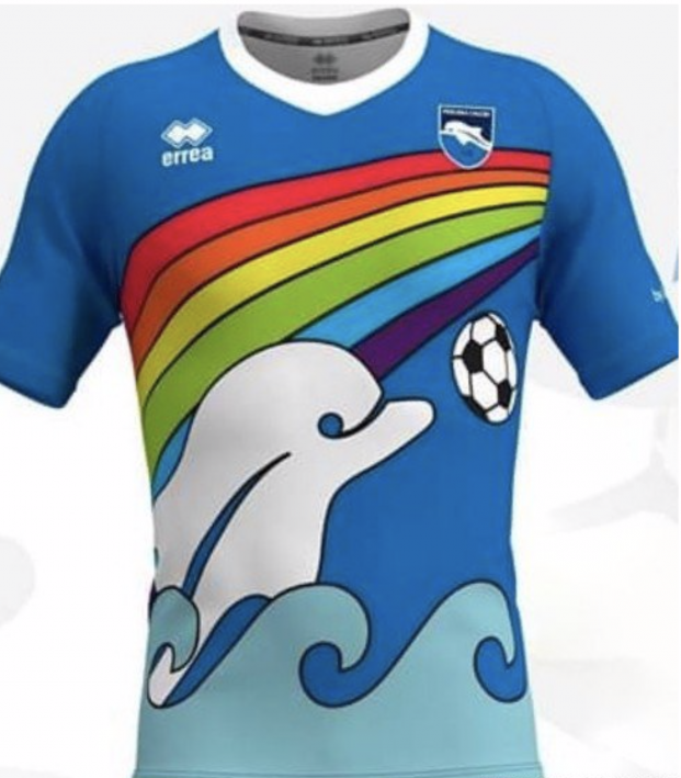 dolphin football shirt