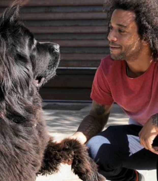 Footballers And Their Furry, Four-Legged Friends