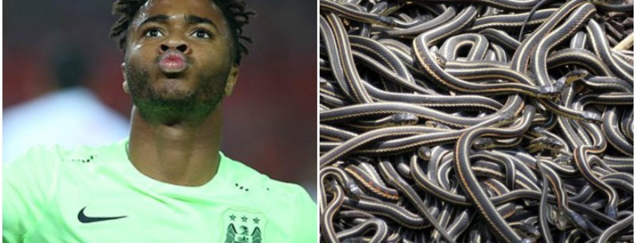 Raheem Sterling's Instagram Has A Snake Infestation