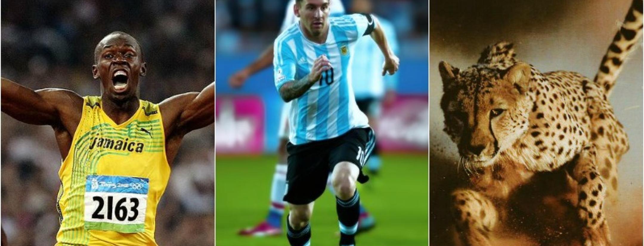 Usain Bolt, Then Messi, Then an Cheetah.