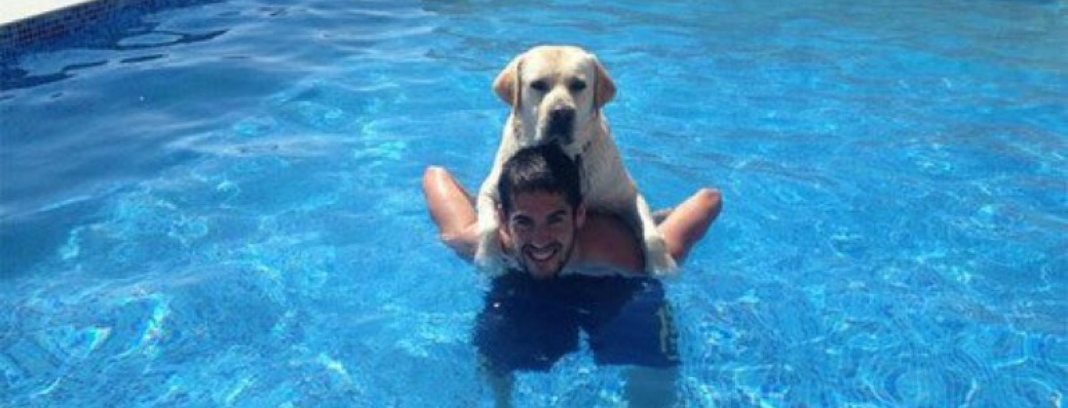 Isco's Dog named Messi