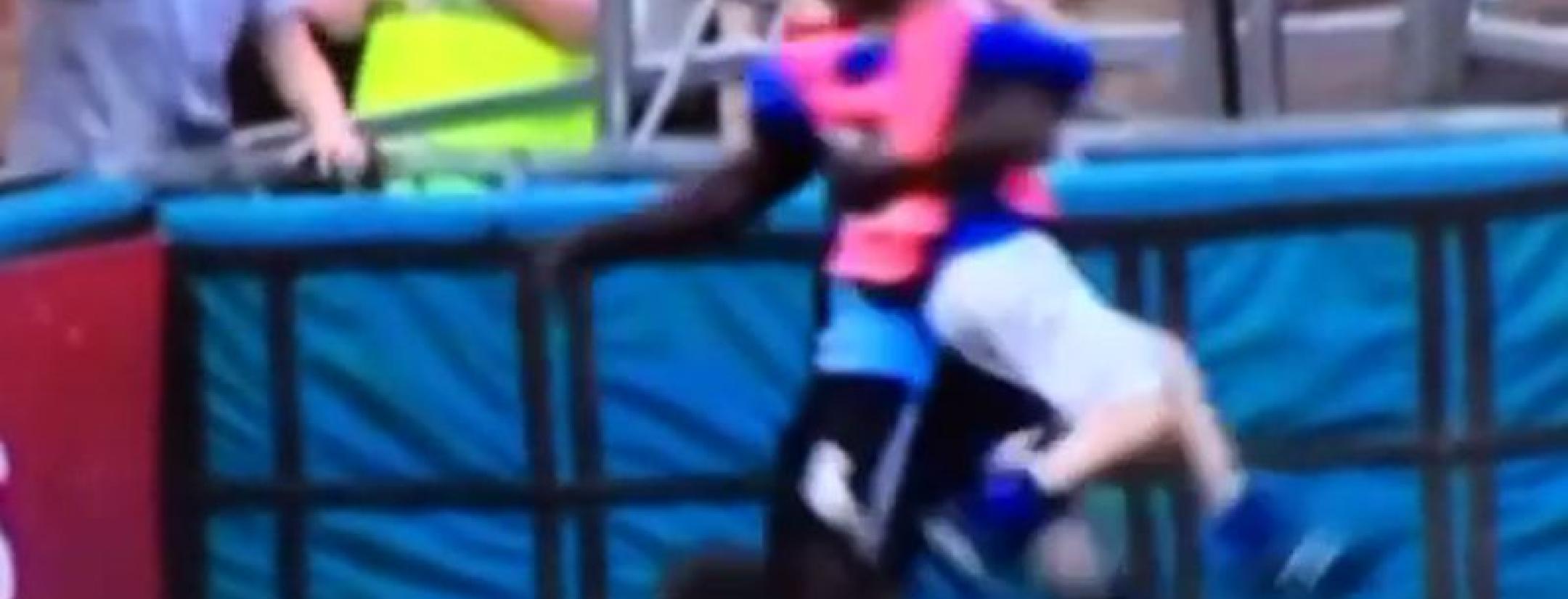 Wycombe Wanderers ballboy celebrates goal