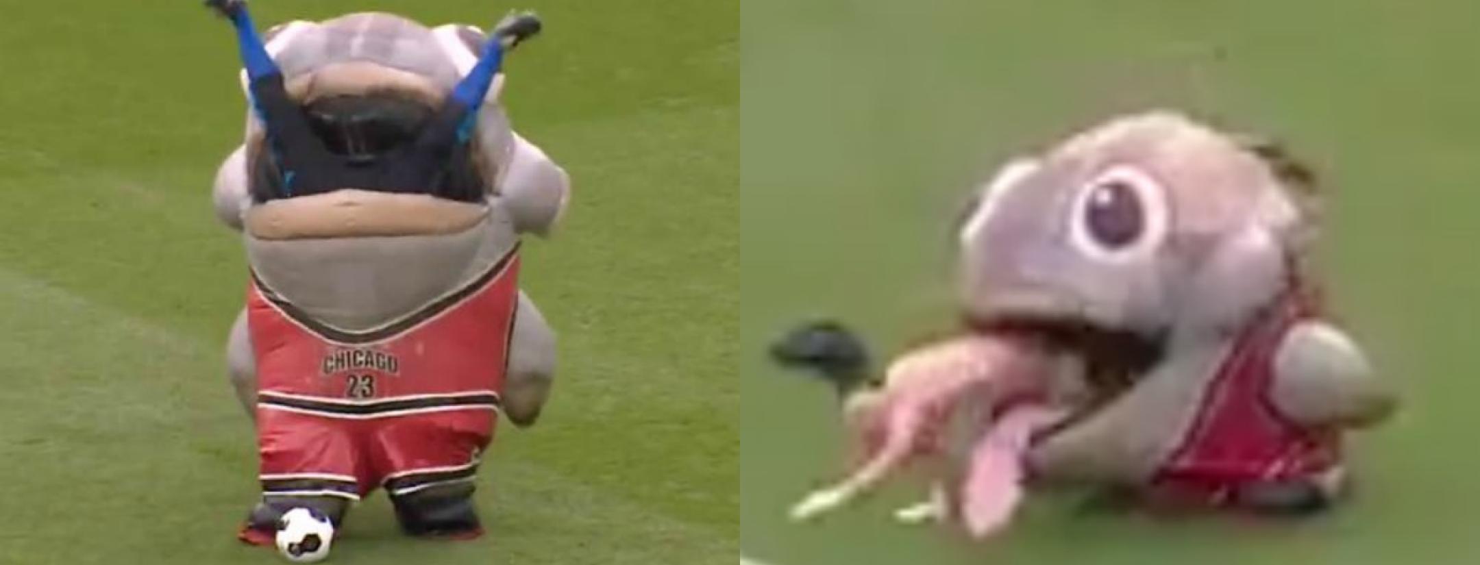 Fish eats goalkeeping coach