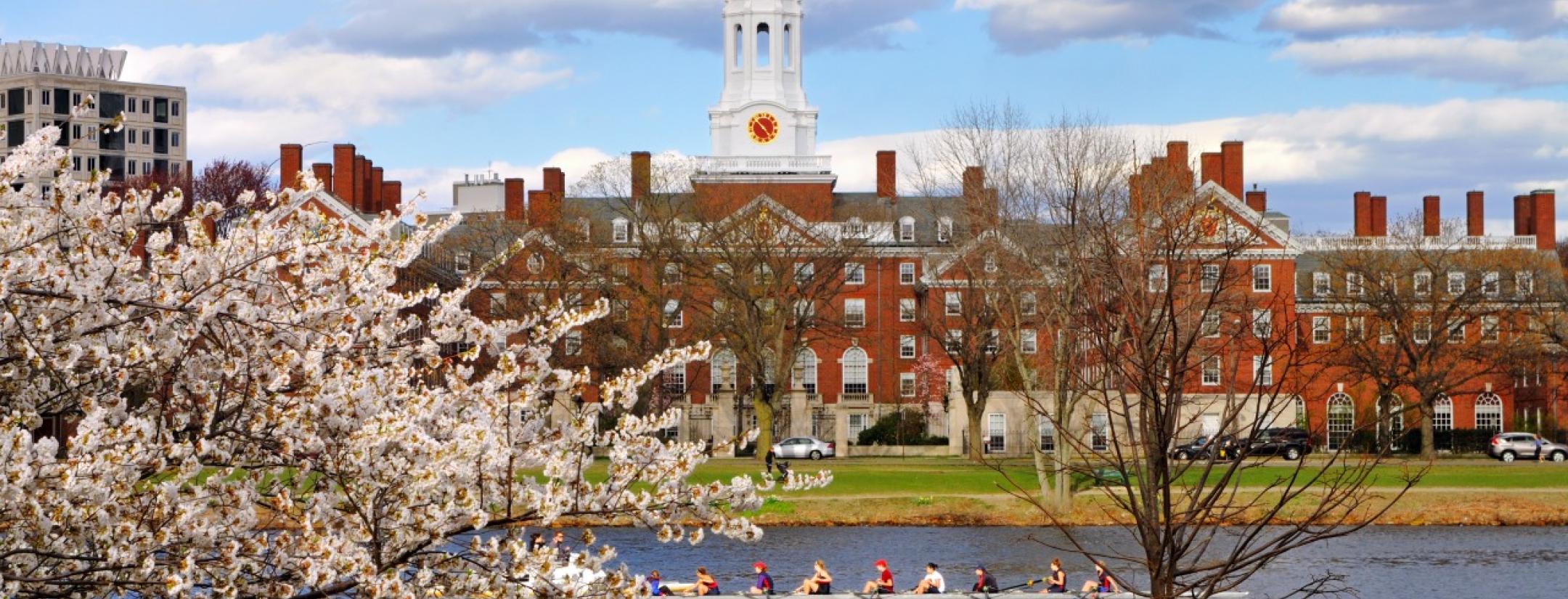 Harvard suspends men's soccer