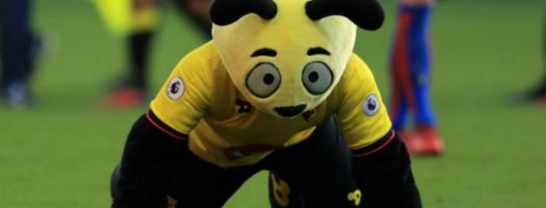 Harry the Hornet