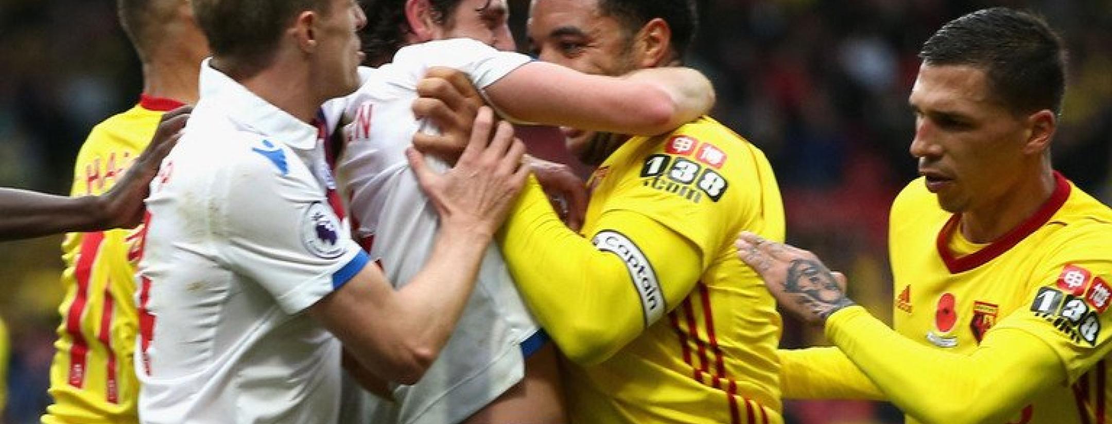 Troy Deeney Joe Allen fight