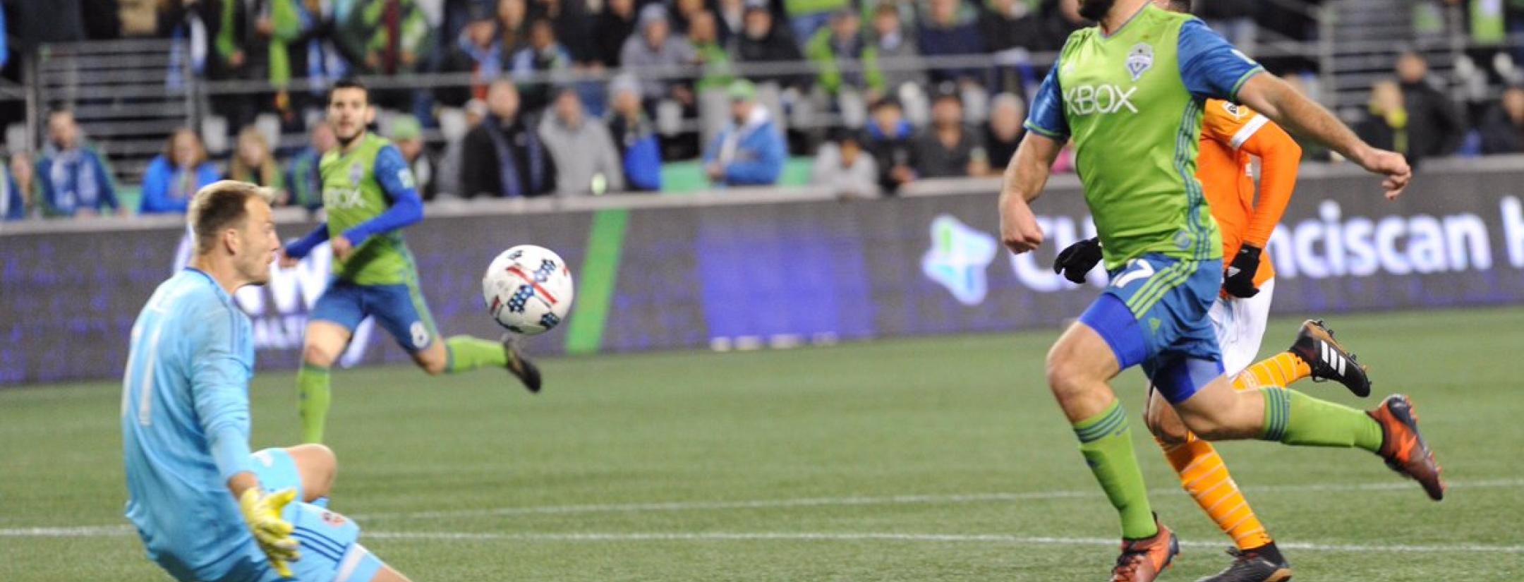 Will Bruin goal vs Houston