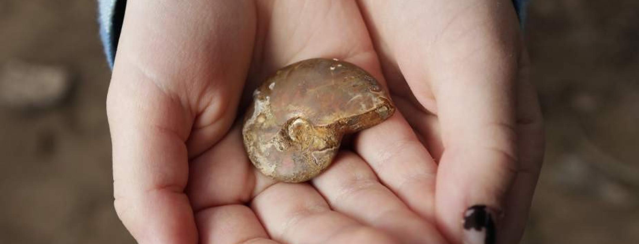 Girl finds fossil on soccer field