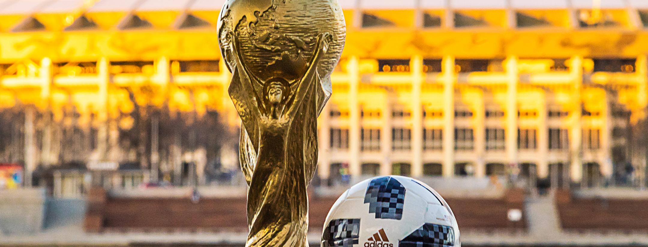 World Cup Final Viewers