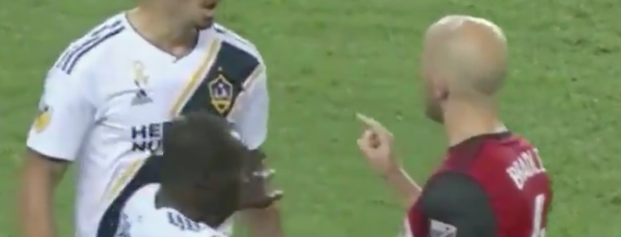 Zlatan Michael Bradley