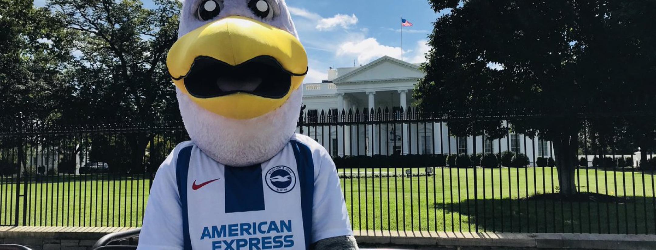 Premier League Mascots