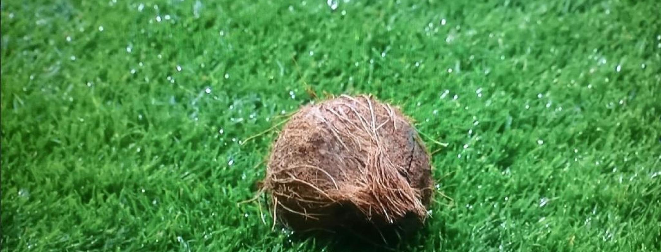Edinburgh Derby Coconut