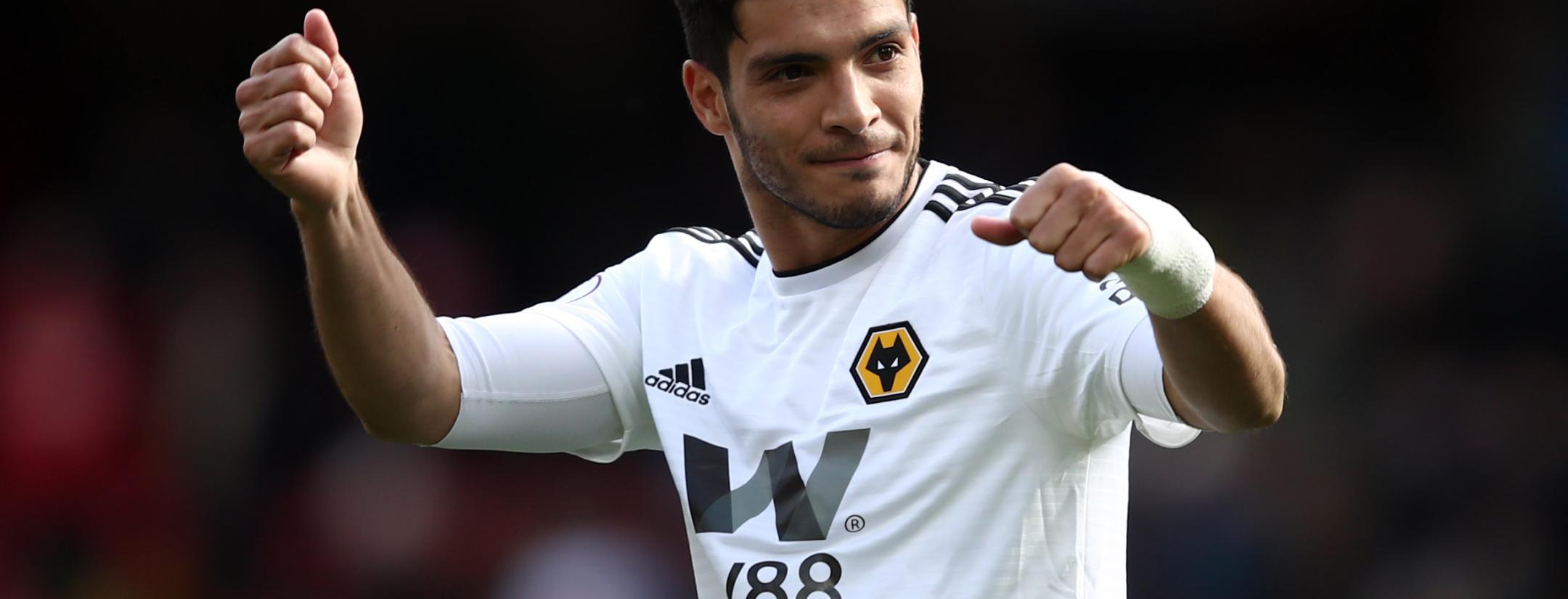 2018-19 Raul Jimenez Stats