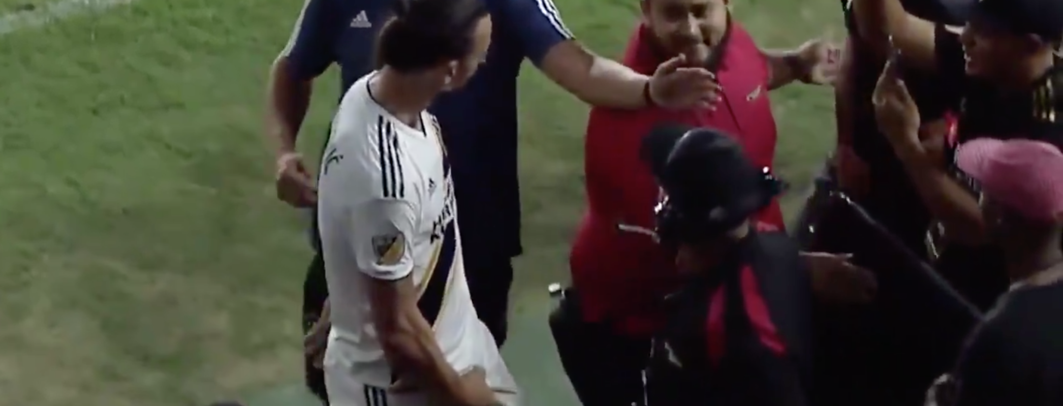 Zlatan Crotch Grab