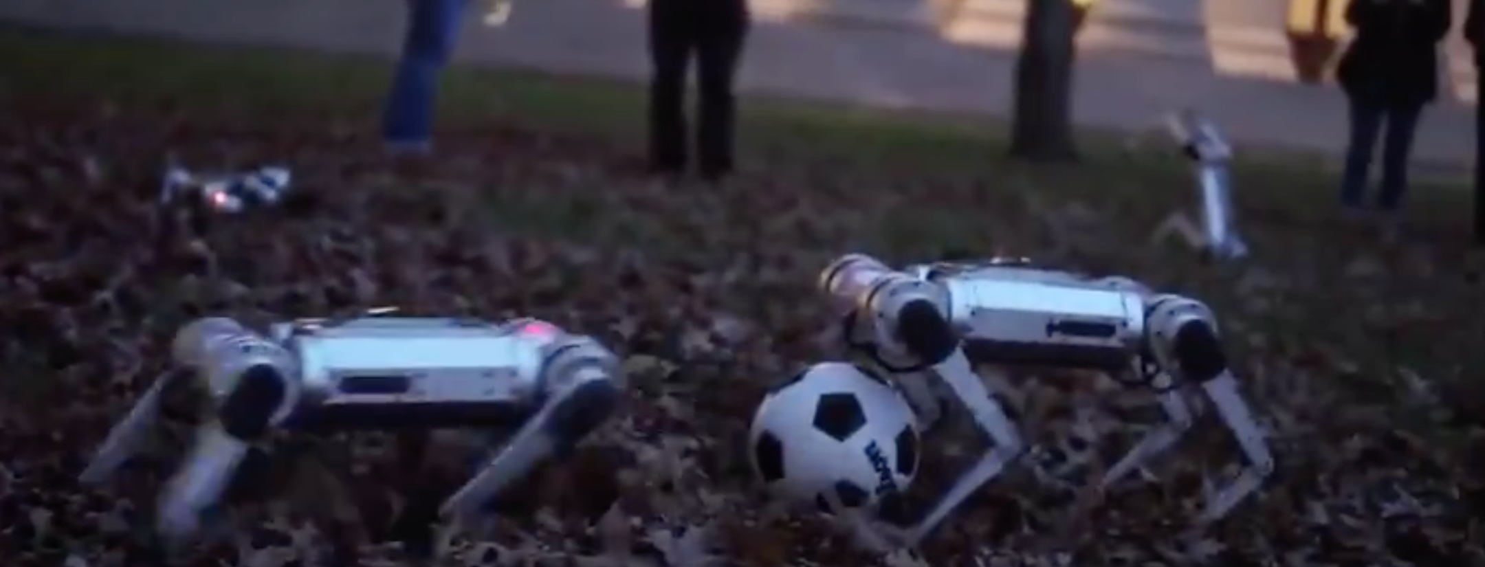 Robot Soccer