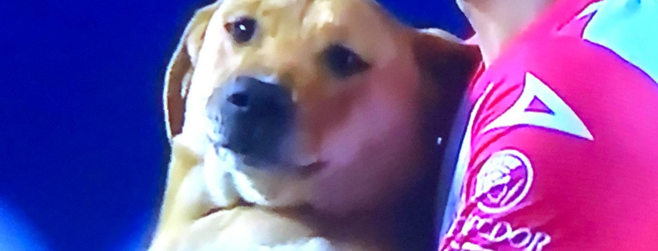 Tunita Atletico San Luis dog