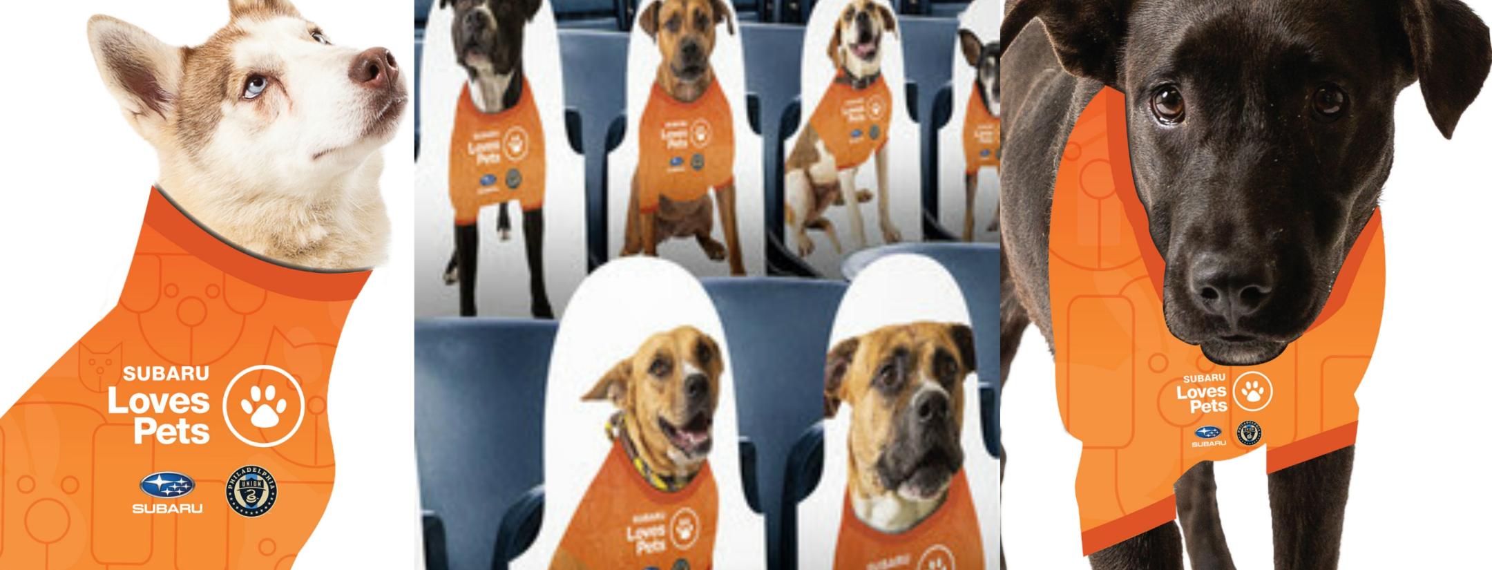 Philadelphia Union Dogs