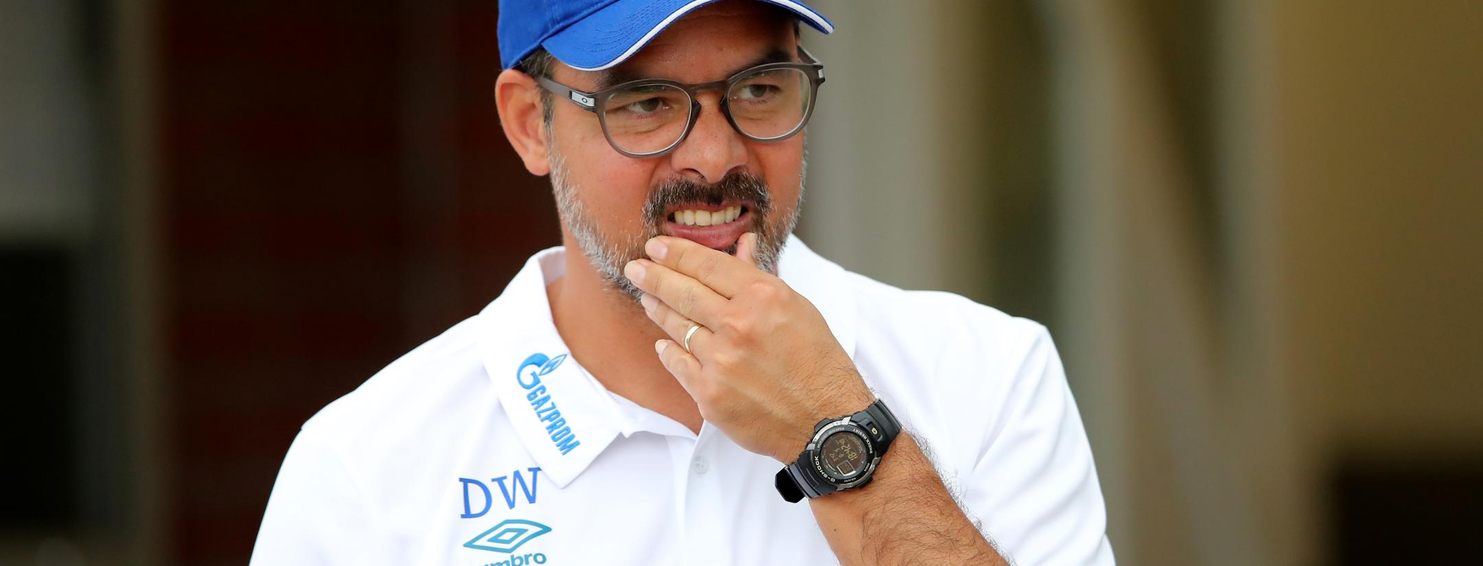 David Wagner Fired