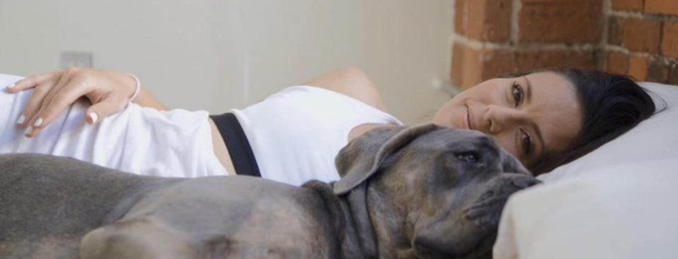 Footballers and Animals