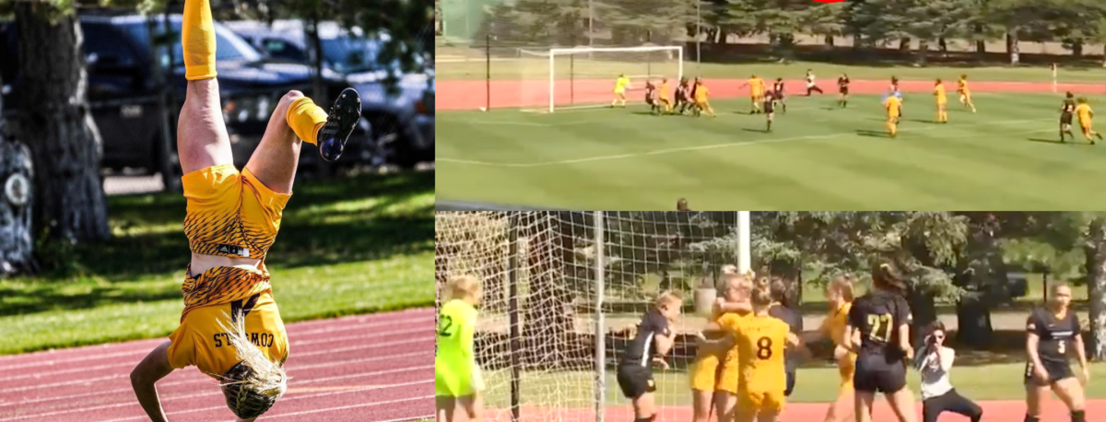 Wyoming Flip Throw Goal