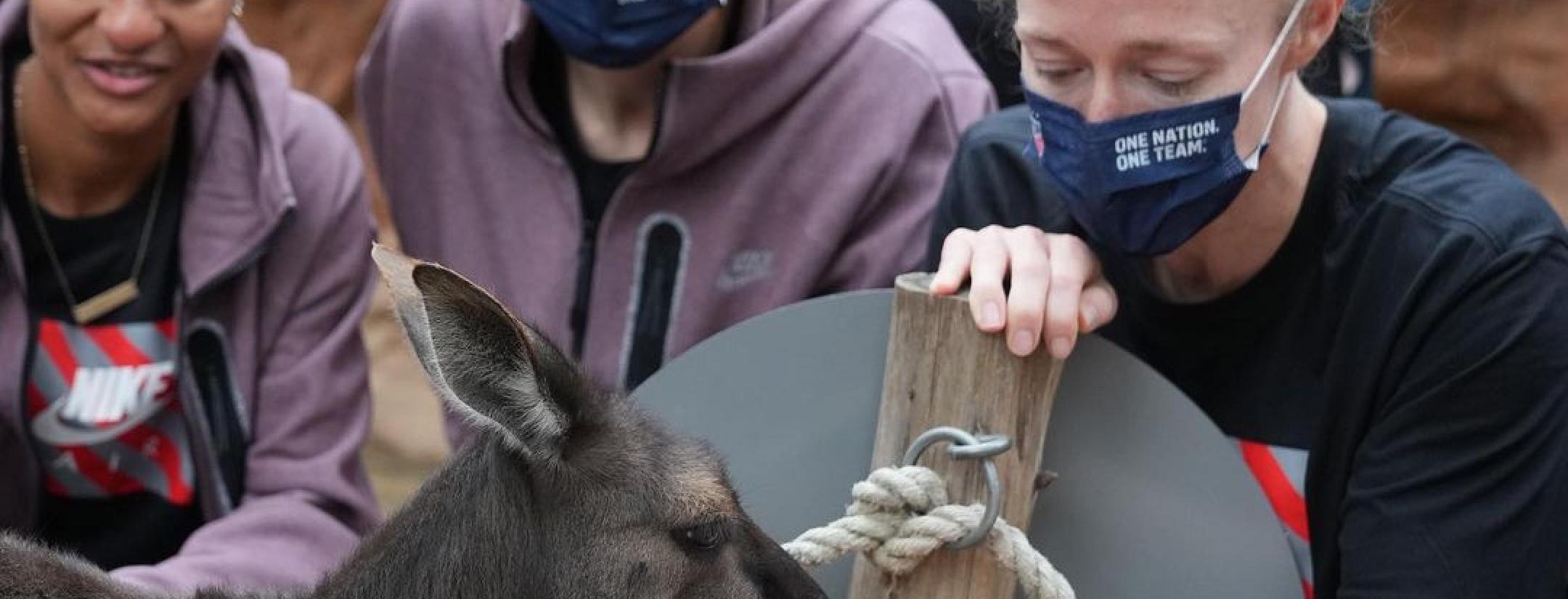 USWNT Petting Kangaroos