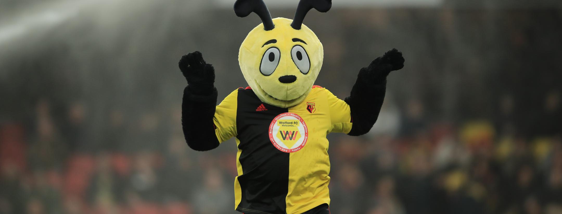 Watford mascot