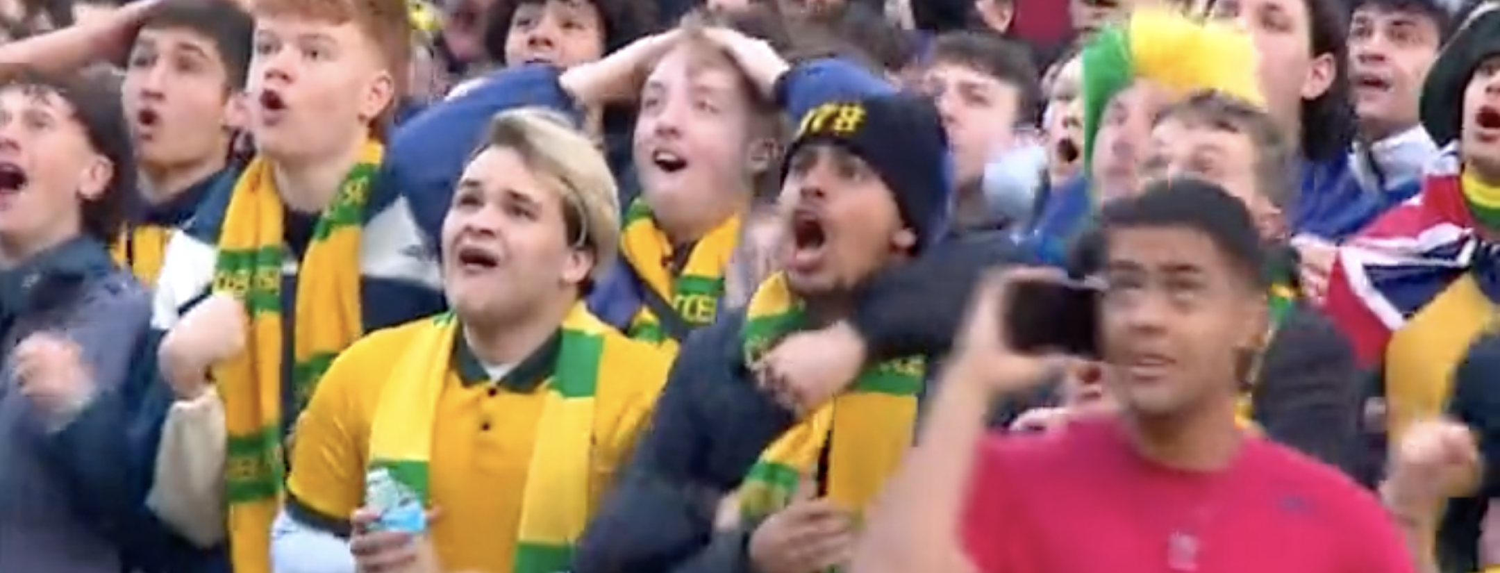 Australia Fans Reaction To Goal vs. France