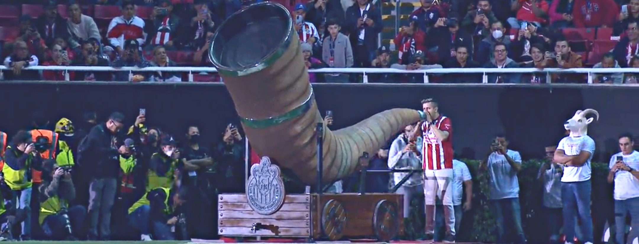 Cuerno gigante de Chivas