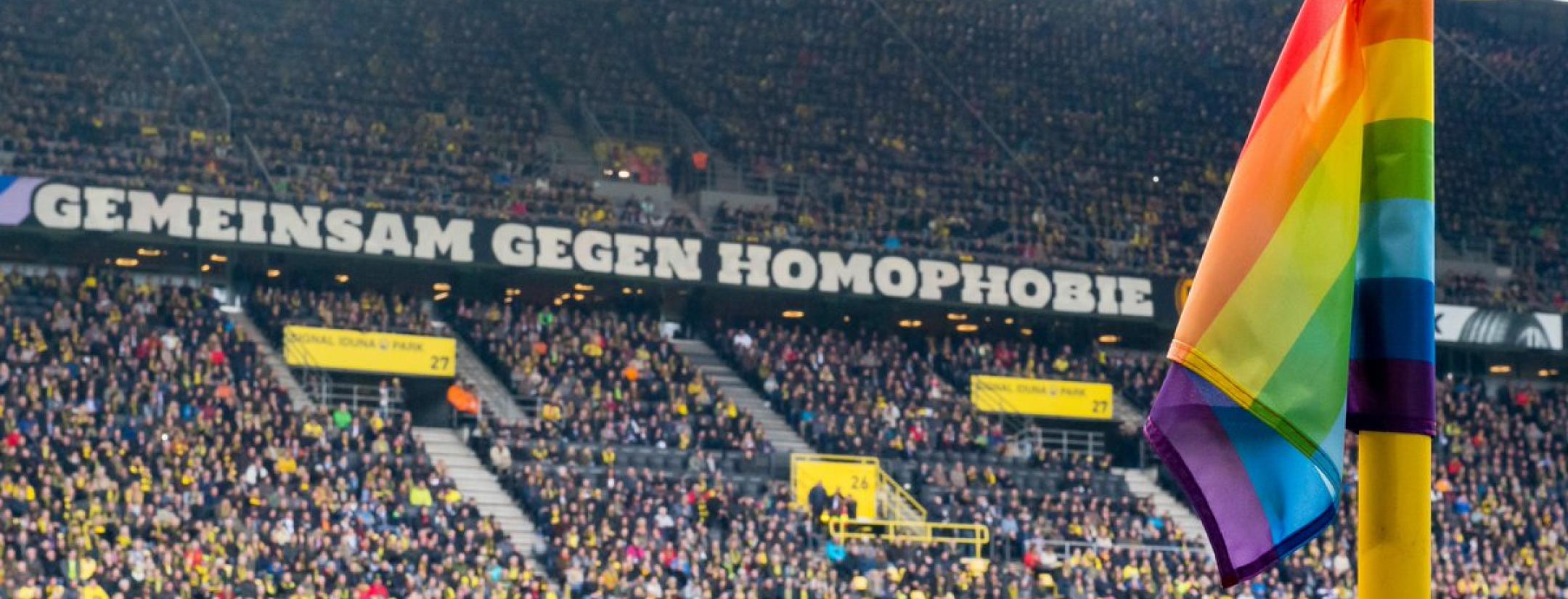 German gay players