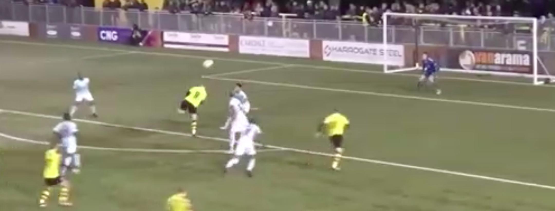 Best soccer assist ever