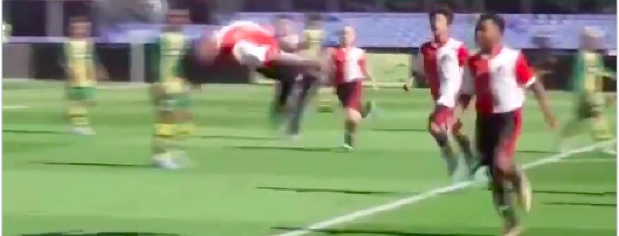 The worm celebration