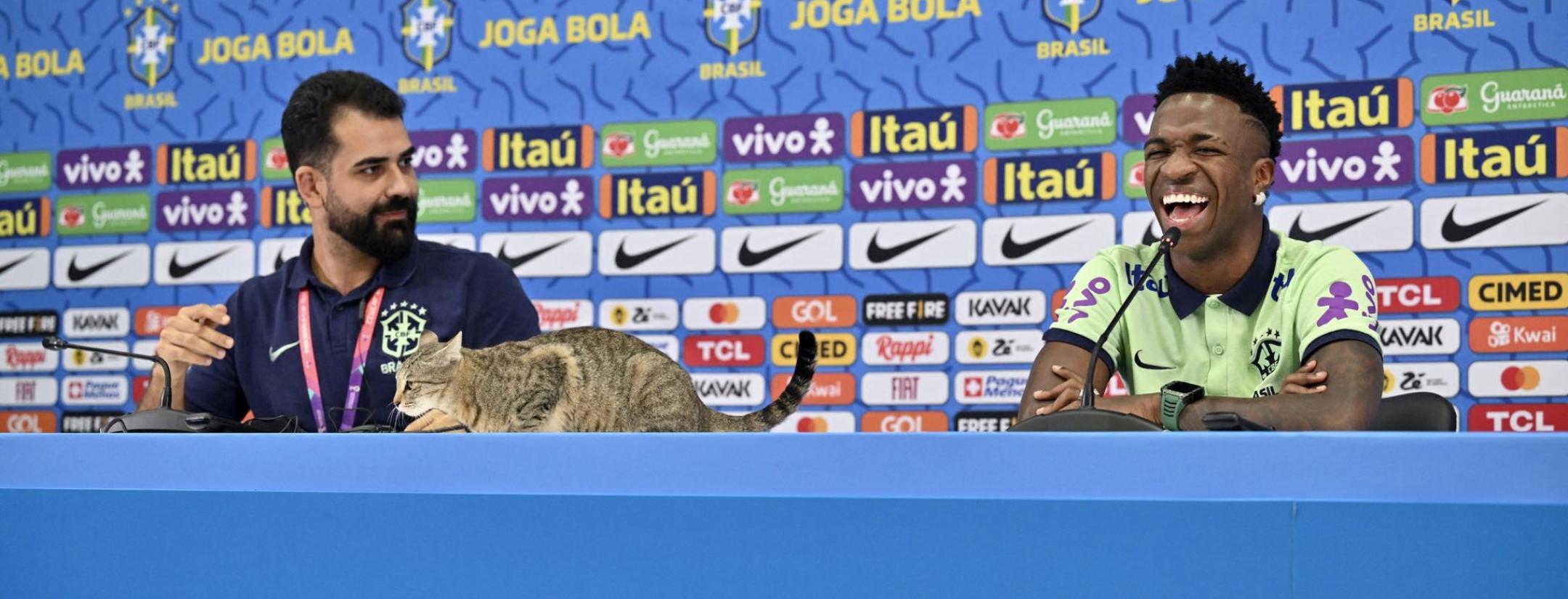 Vini Jr Cat Press Conference Guest