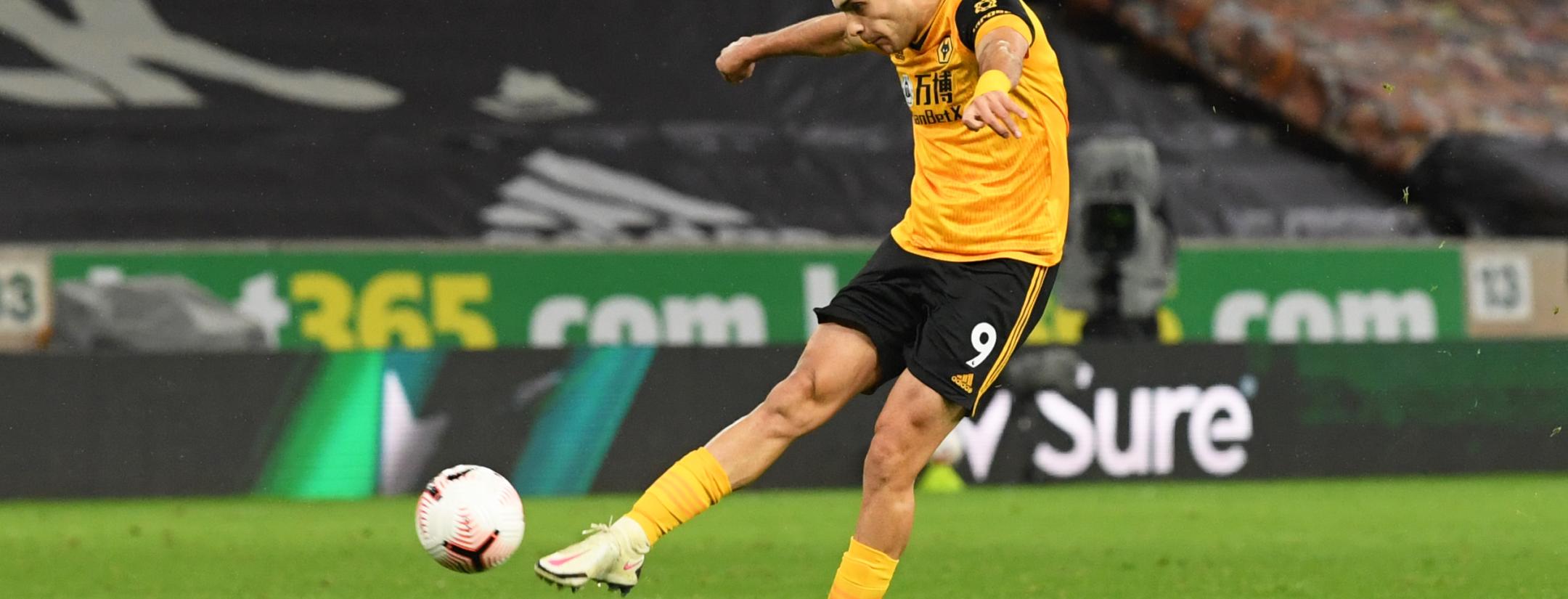 Raul Jimenez goal vs Newcastle