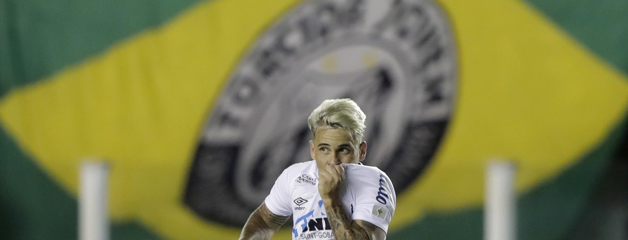 Santos advance to Copa Libertadores final