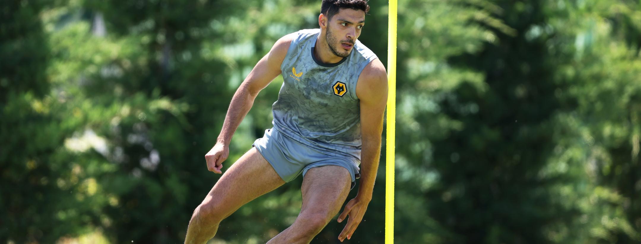 Raúl Jiménez Fulham