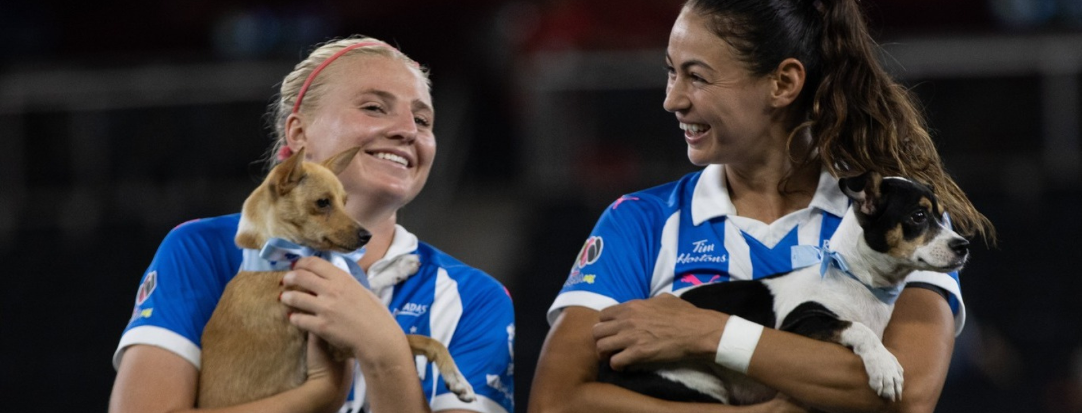 Rayadas adopción de perritos