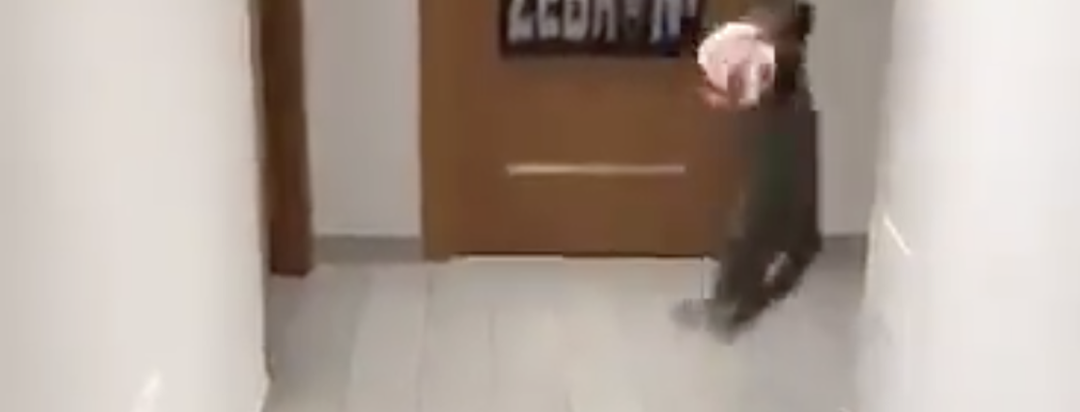 cat playing goalkeeper