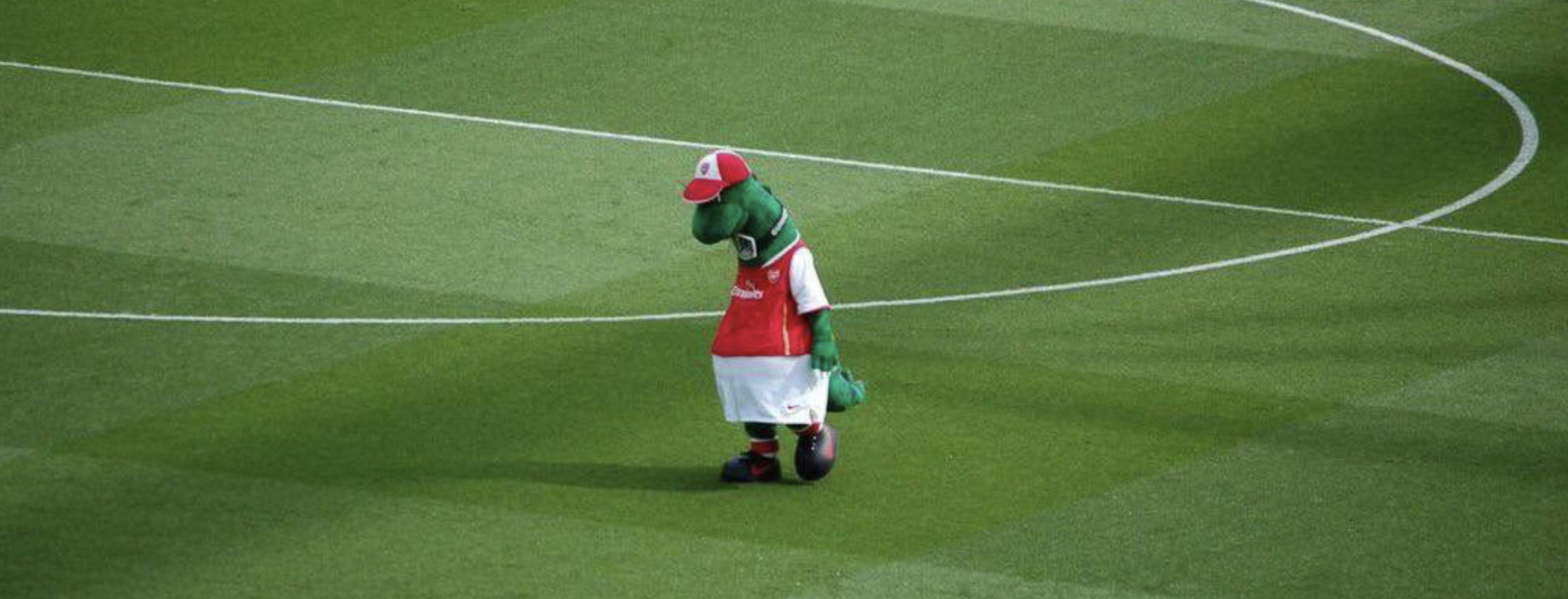 Gunnersaurus