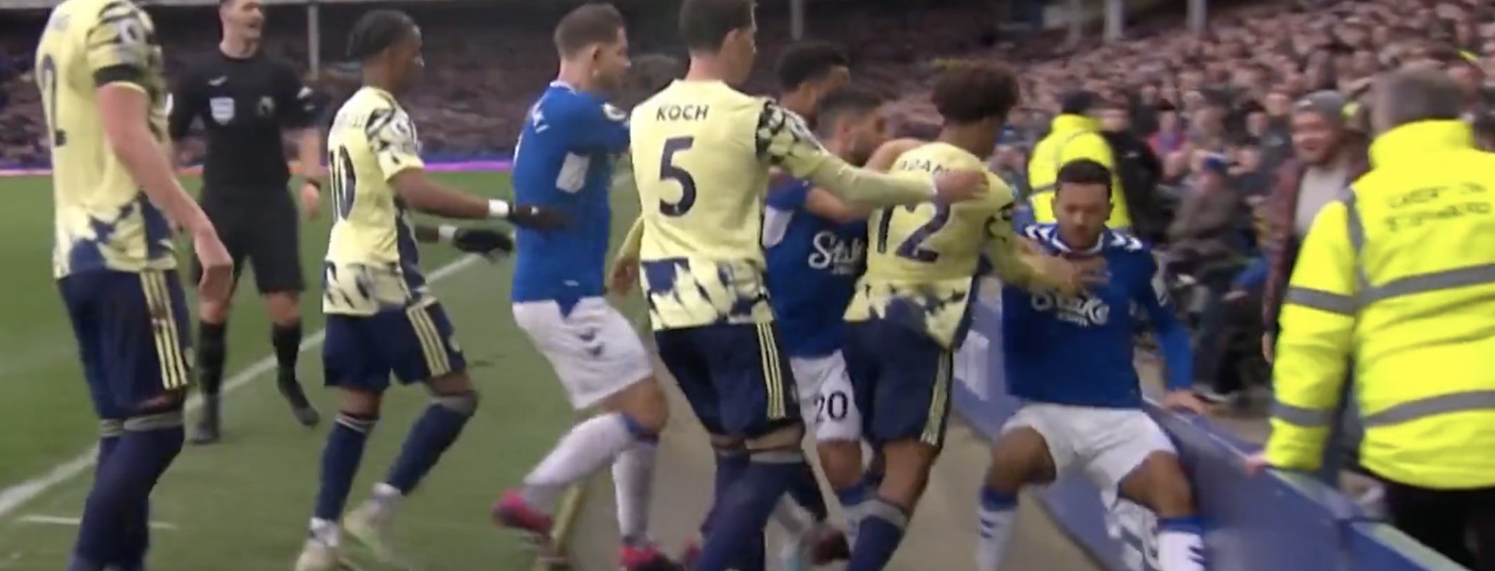 Leeds Everton fight