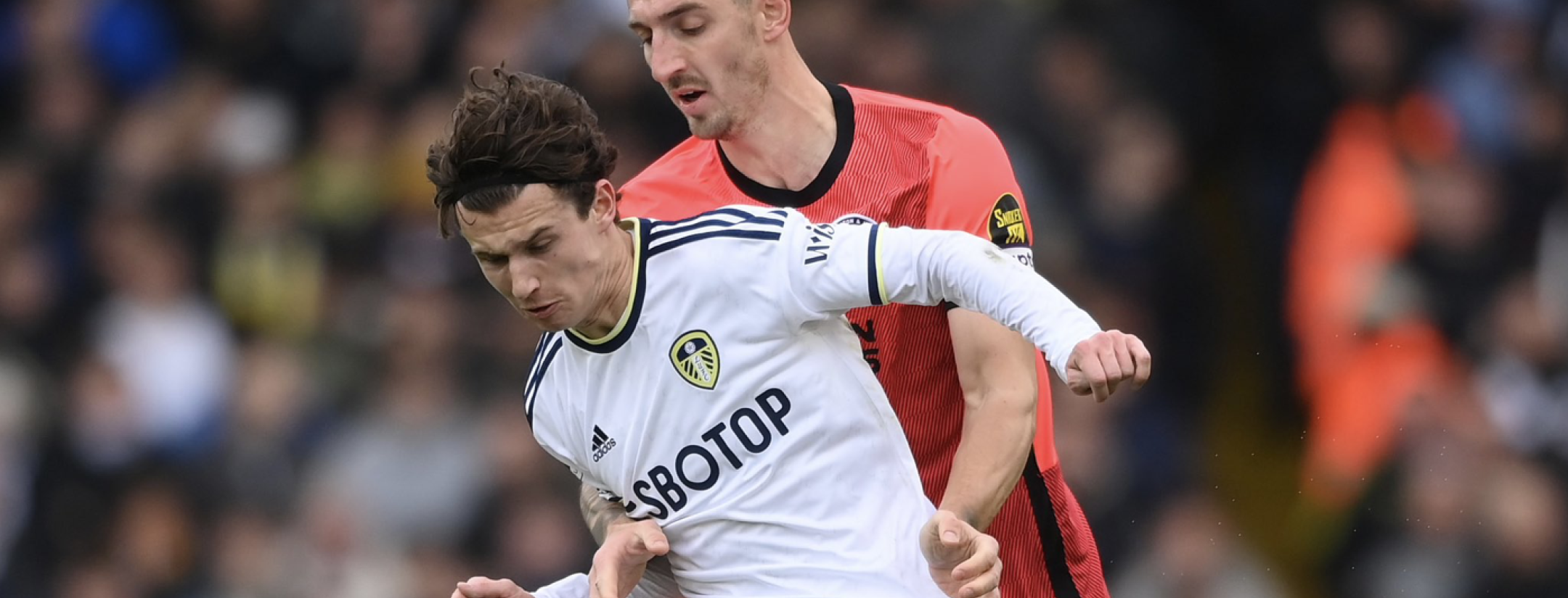 Brenden Aaronson vs Brighton