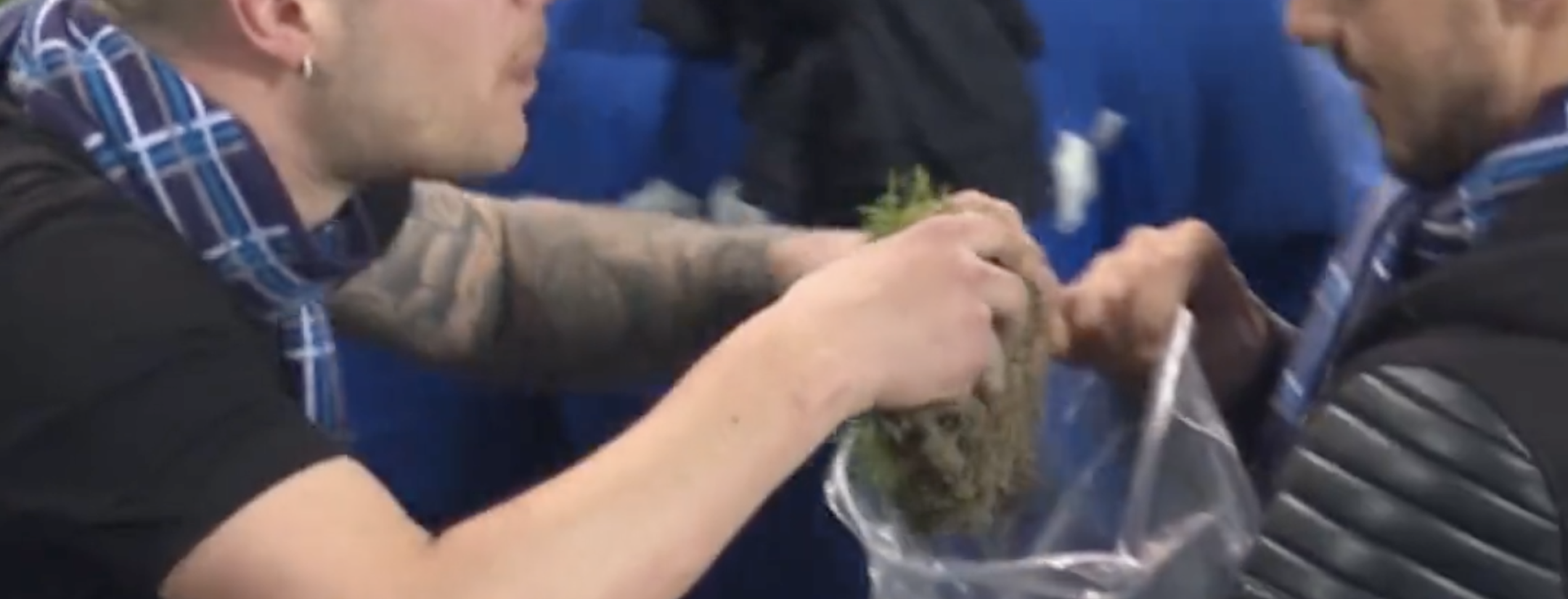 Napoli fans taking Udinese grass