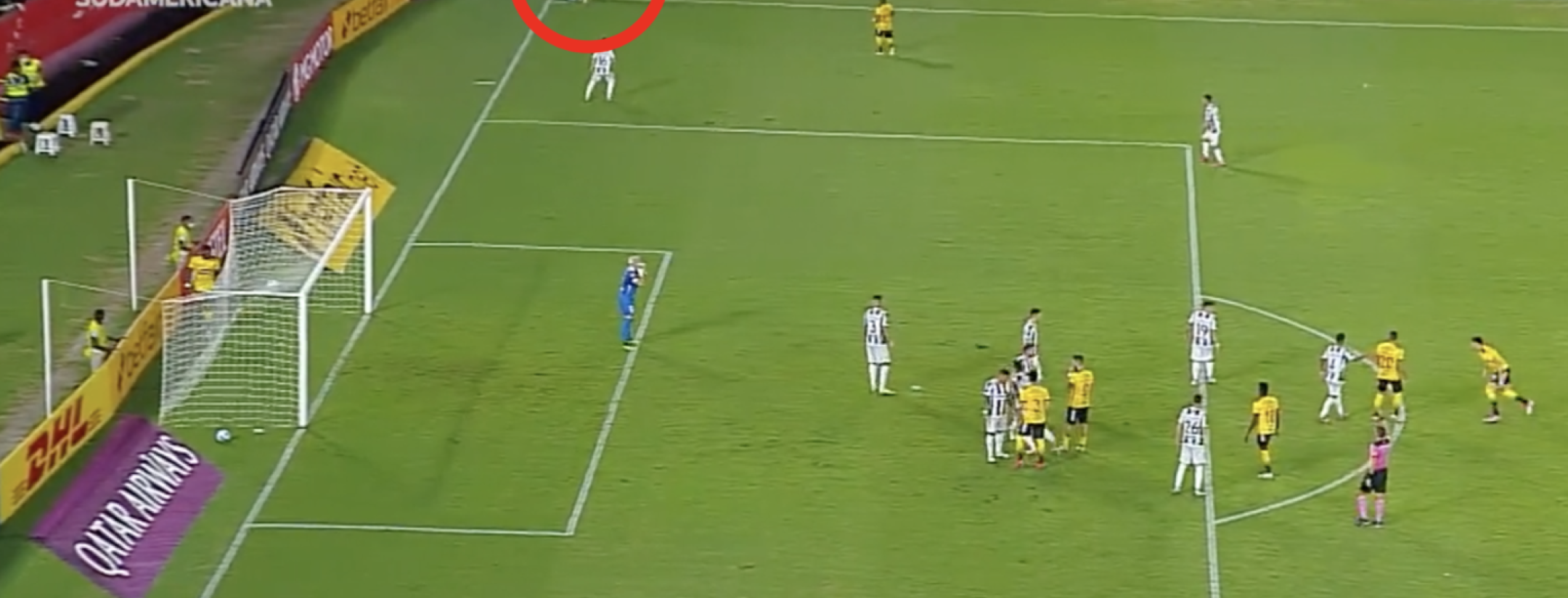 Damian Diaz Olimpico