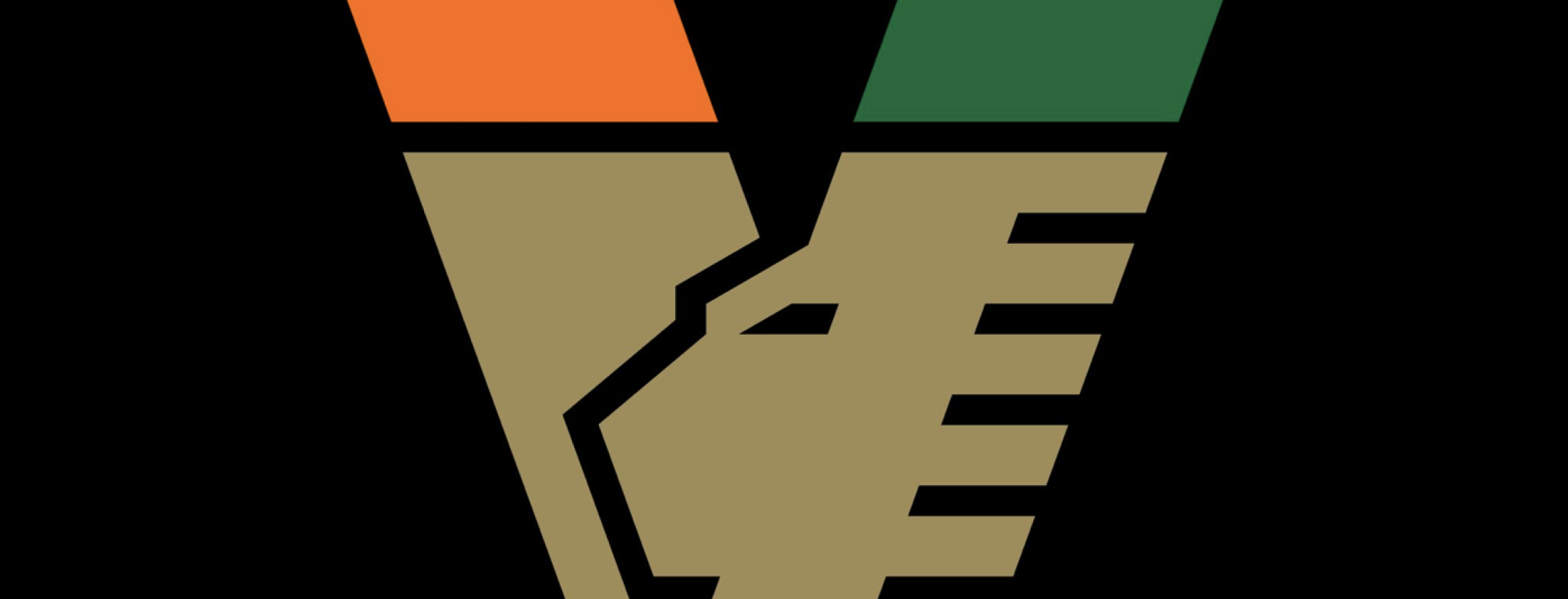 New Venezia Logo