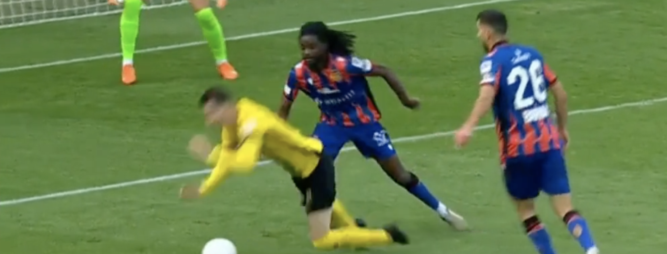 2024 fallon d'floor nominees