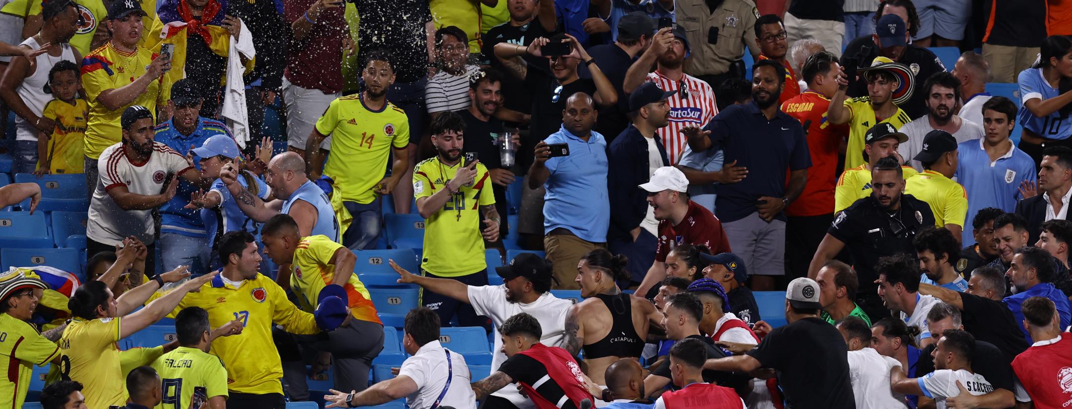 Darwin Nunez punching fans after loss to Colombia
