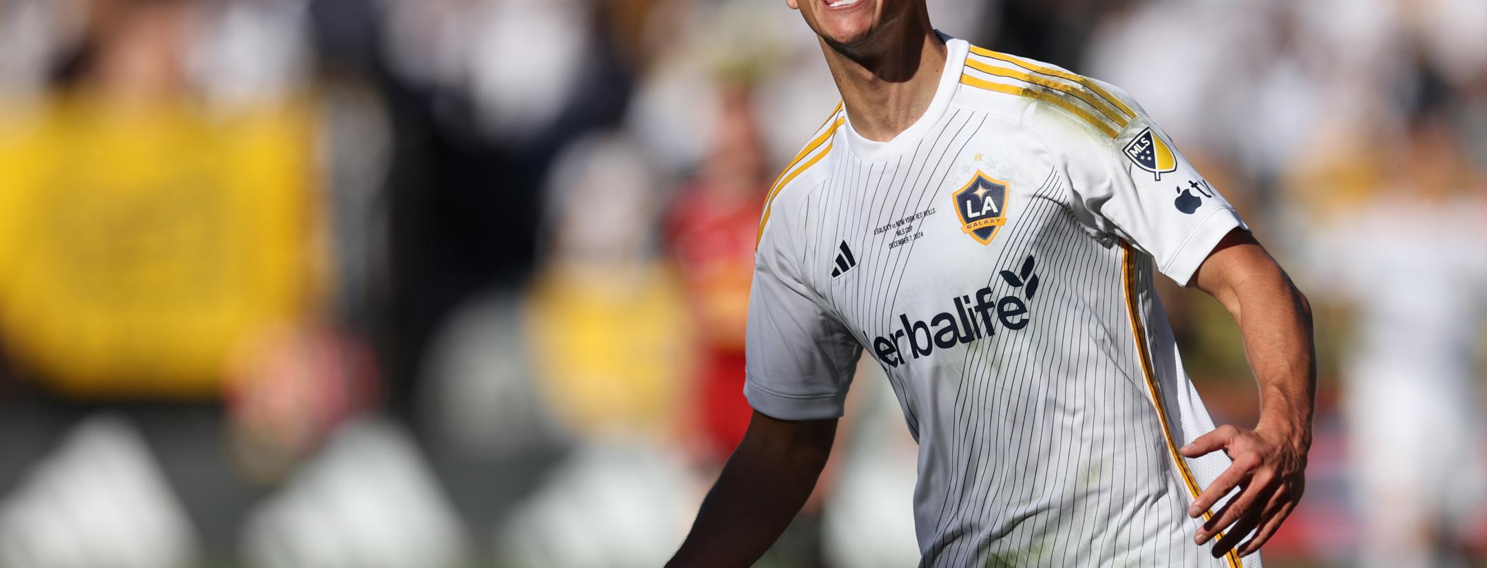 LA Galaxy vs New York Red Bulls highlights