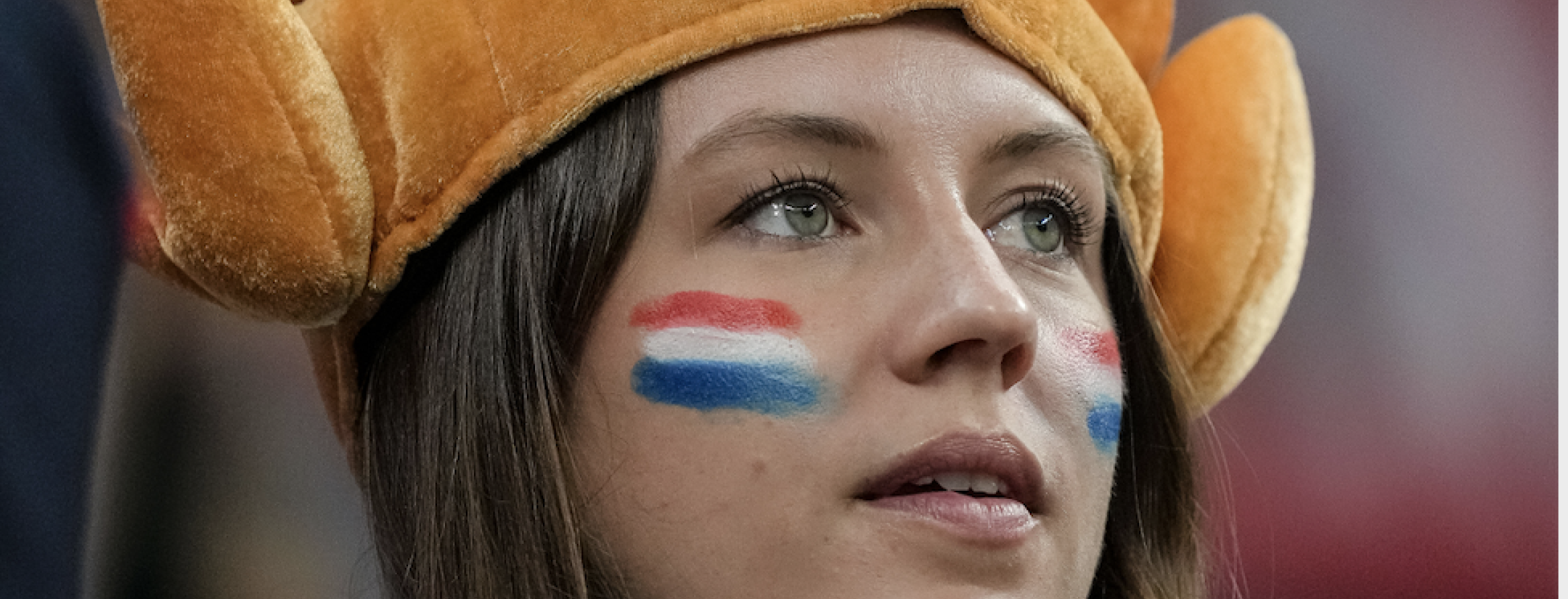 Soccer Peanut Gallery: Funny soccer fans