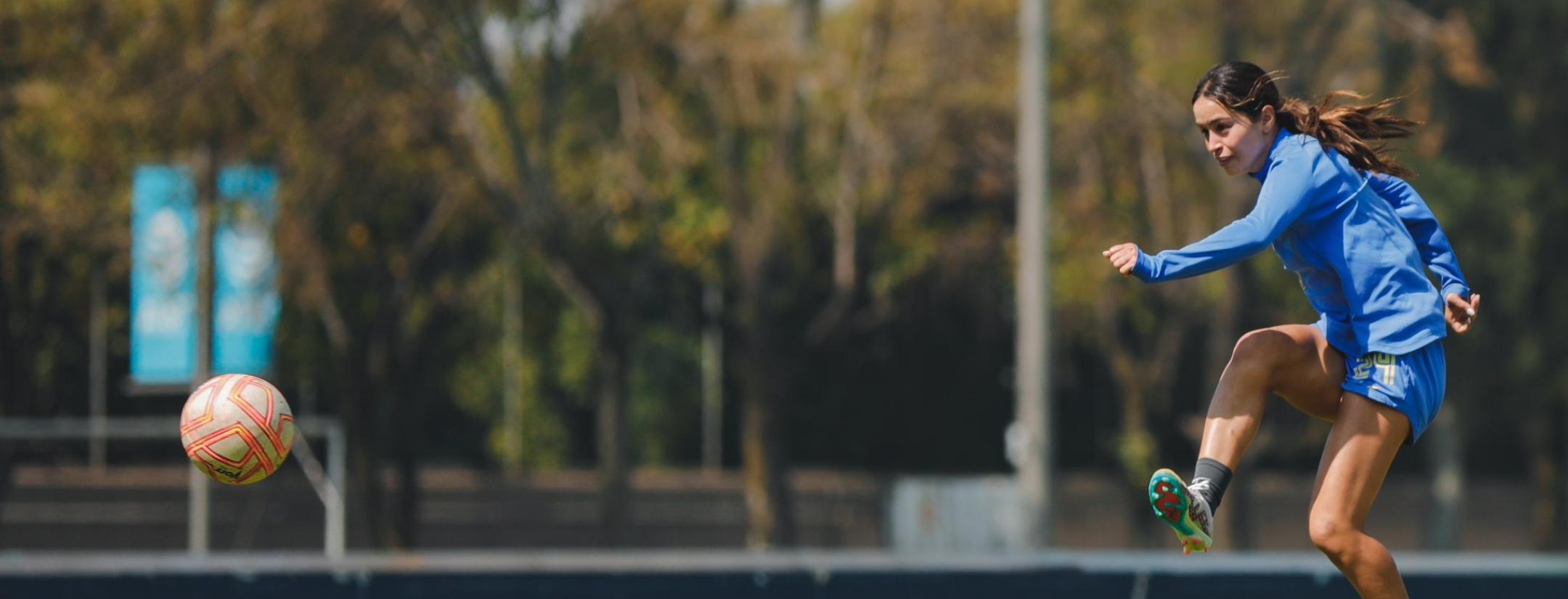 Hackeo a Scarlett Camberos