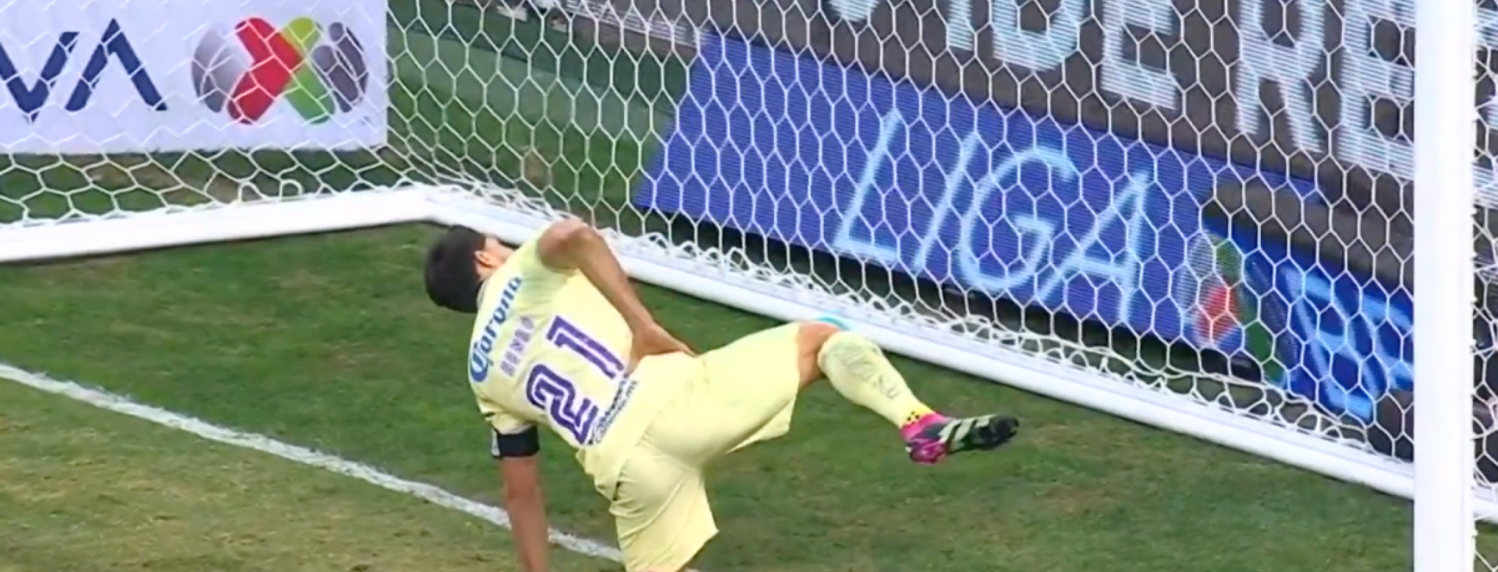 Festejo perrito de Henry Martín