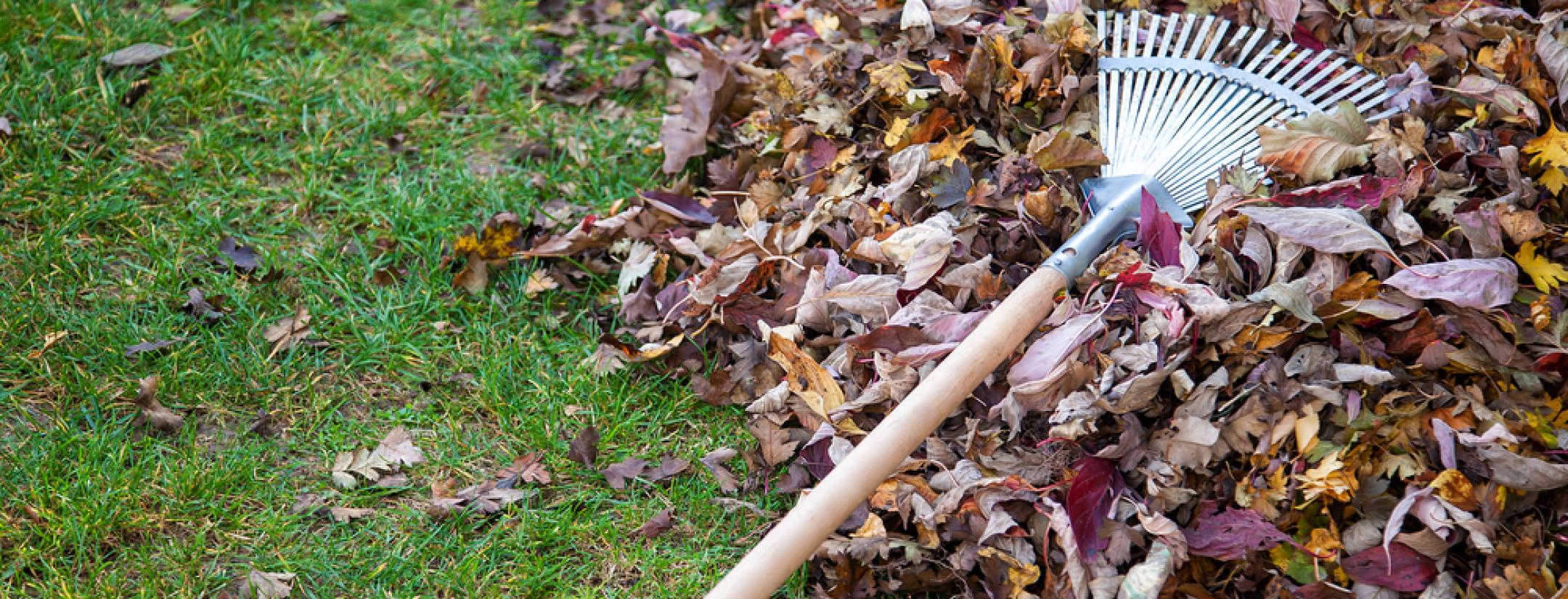 Rake
